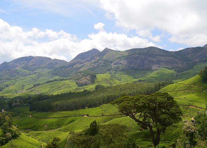 Munnar 1